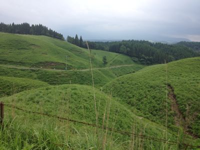 f0198620_2292896.jpg
