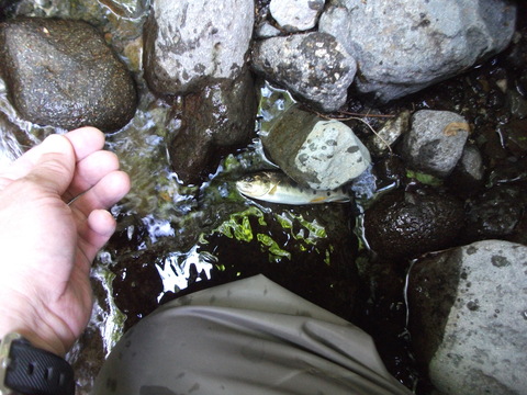 a0279321_13464727.jpg