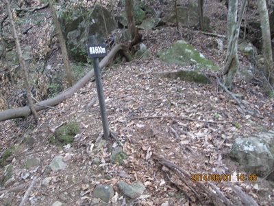 f0193521_1020315.jpg