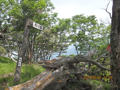f0193521_9355089.jpg