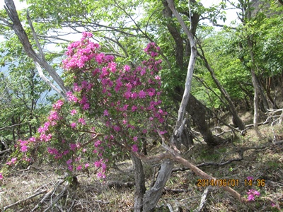 f0193521_942793.jpg