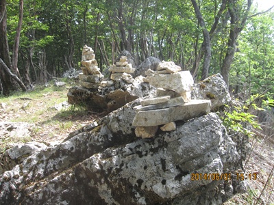 f0193521_9464616.jpg