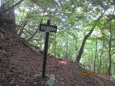 f0193521_9514051.jpg