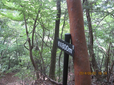 f0193521_9563750.jpg