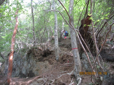 f0193521_957894.jpg