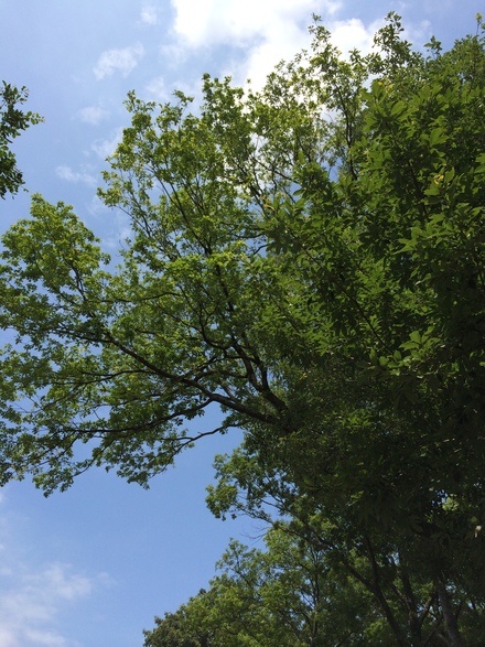 b0247223_17153116.jpg