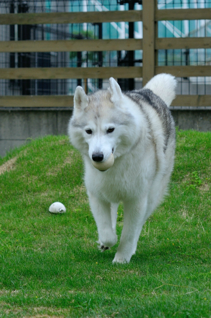 a0047325_23241474.jpg