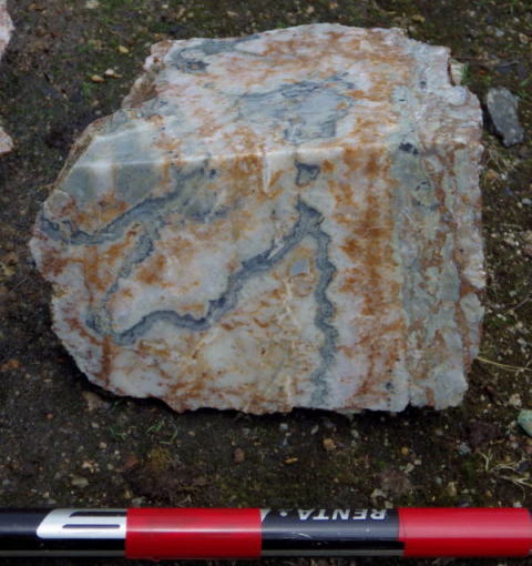 d0045626_2155250.jpg