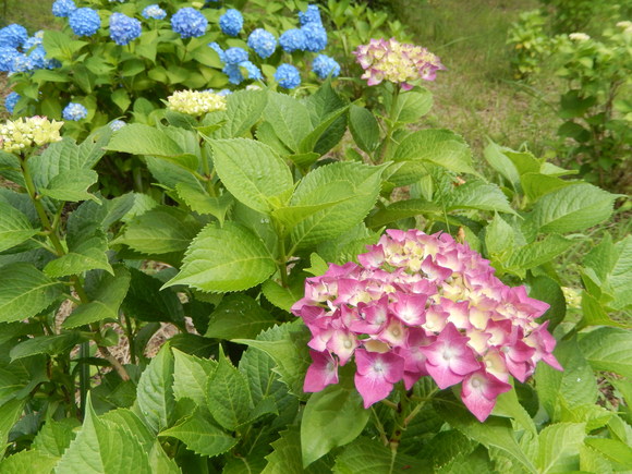 d0331729_9334083.jpg