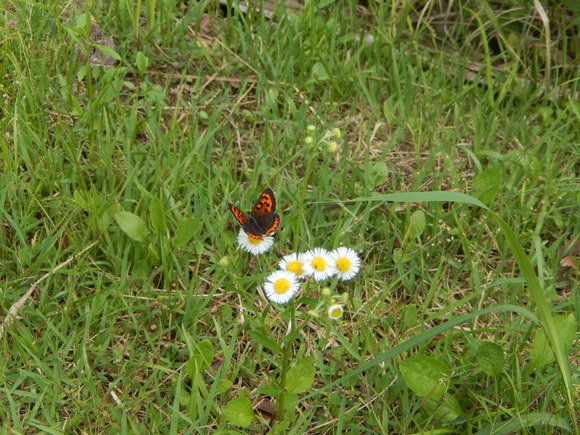 d0331729_9381058.jpg