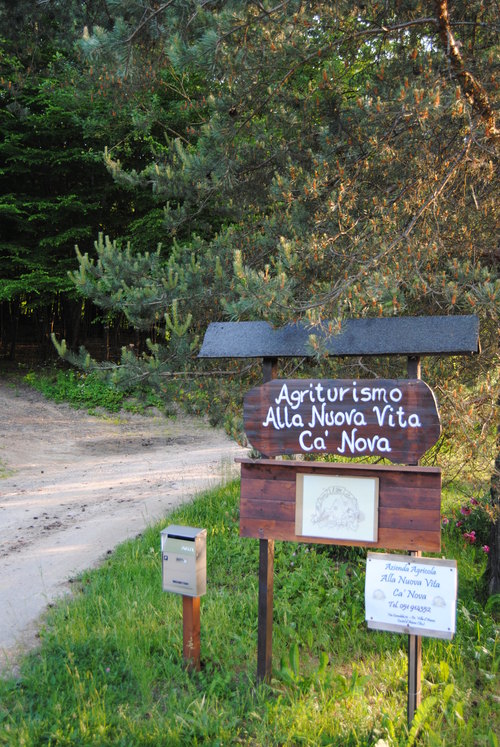 e0203331_20693.jpg