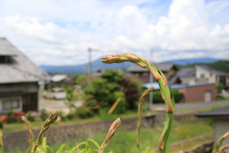 WRXと既成感からの脱出_f0076731_18244389.jpg