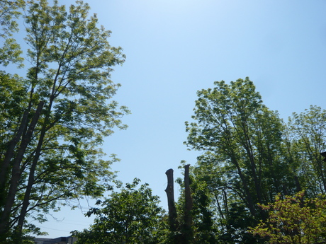 d0217833_1710252.jpg