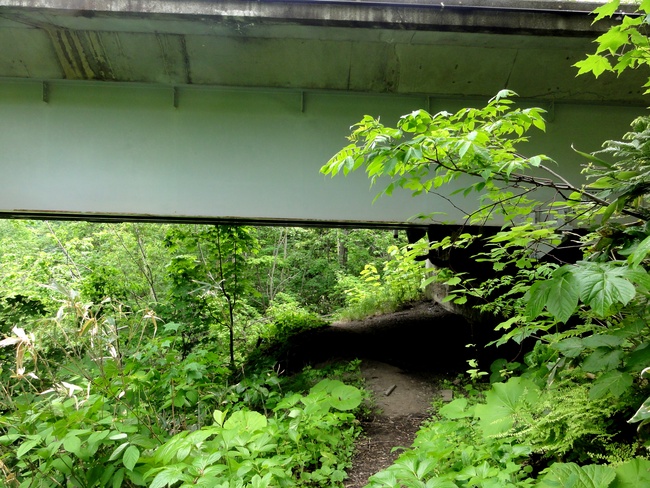 d0235336_20131593.jpg