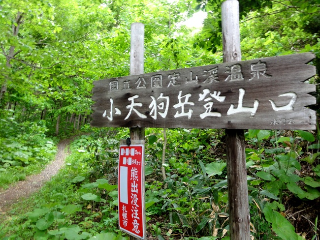 d0235336_20141374.jpg
