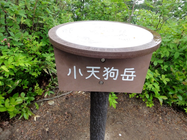 d0235336_2092768.jpg
