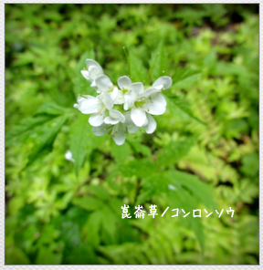d0235336_23173597.png