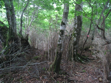 c0077338_19553762.jpg