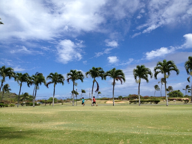 e0022439_1662619.jpg