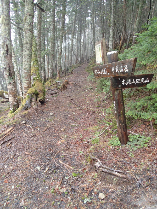 b0190242_20233498.jpg