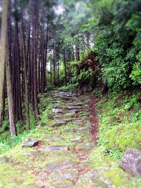 熊野古道@波田須・大吹峠コース_e0292546_23395552.jpg