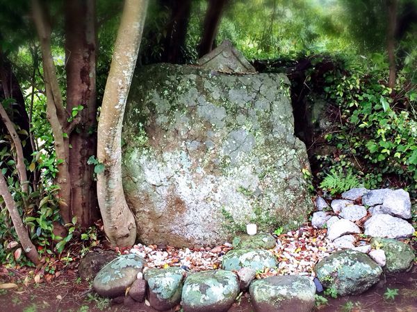 熊野古道@波田須・大吹峠コース_e0292546_23401728.jpg