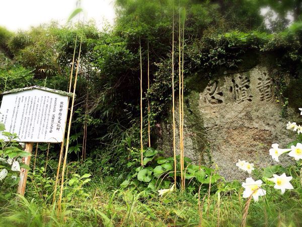熊野古道@波田須・大吹峠コース_e0292546_23401940.jpg
