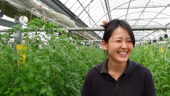 【まいわい生産者さん 015】トマトの柳さん_a0283448_16463350.jpg