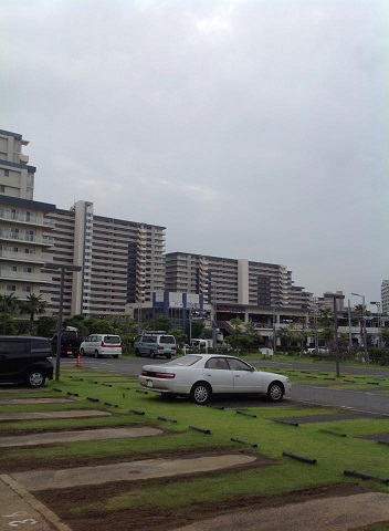 チラシお仲間_e0133255_1815368.jpg