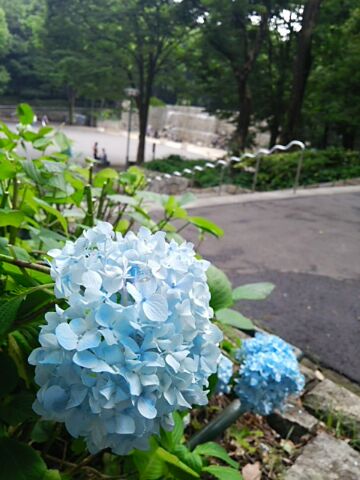 f0043559_18104914.jpg