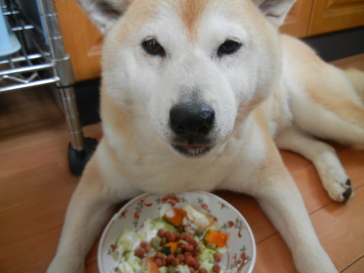 ’14,6,9(月)愛ちゃんの食欲復活!_f0060461_10101471.jpg