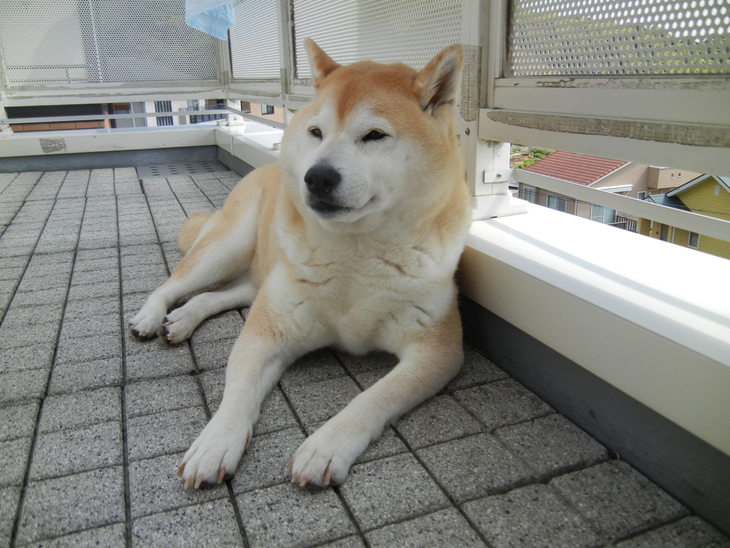 ’14,6,10(火)池のある風景!_f0060461_1929578.jpg