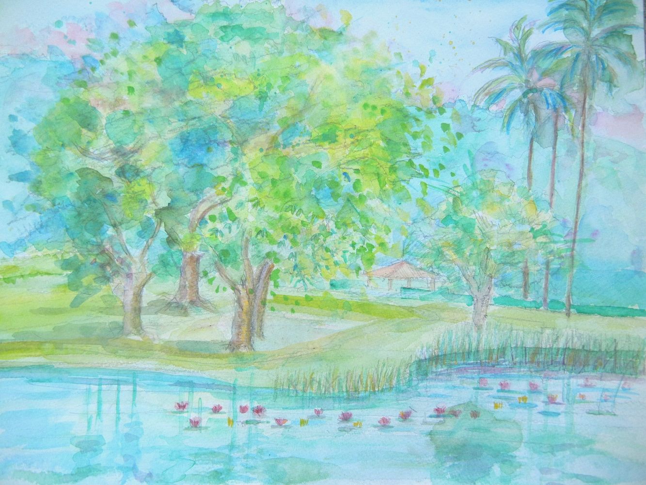 ’14,6,10(火)池のある風景!_f0060461_19585085.jpg