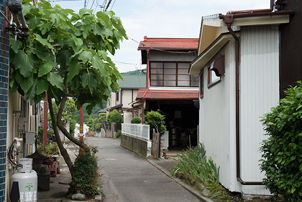 2014/06/09　秦野散歩_b0171364_17485645.jpg