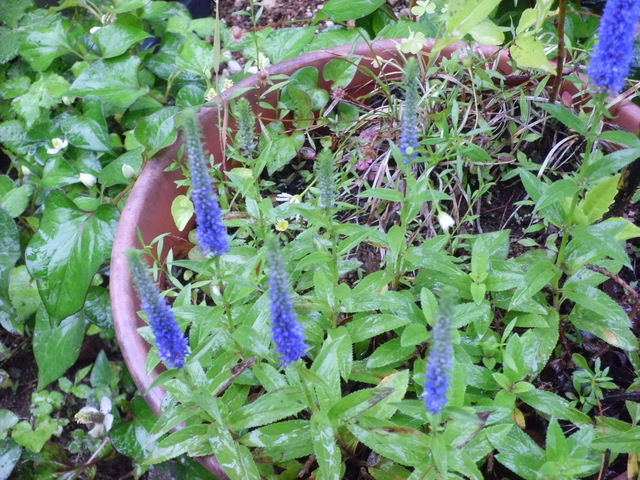 d0233866_0495599.jpg