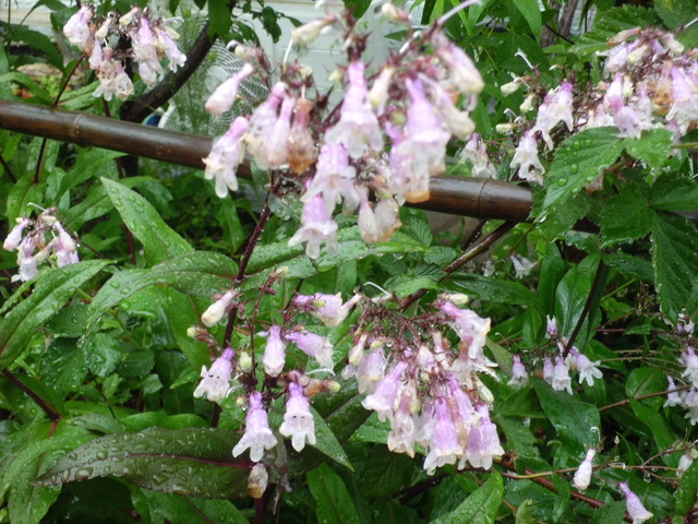 d0233866_0503831.jpg