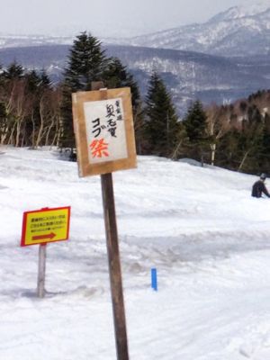 f0233068_1721016.jpg