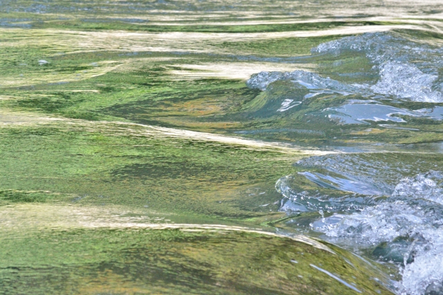 b0183370_14179.jpg