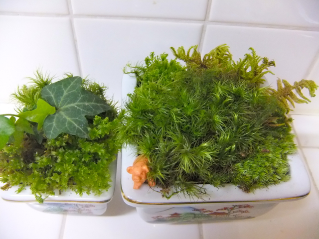 ワークショプ_c0201876_09103977.jpg
