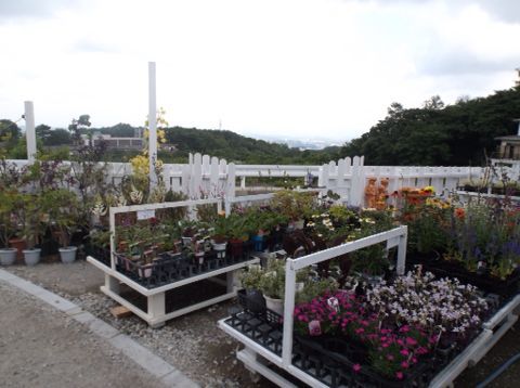 d0115985_1645951.jpg