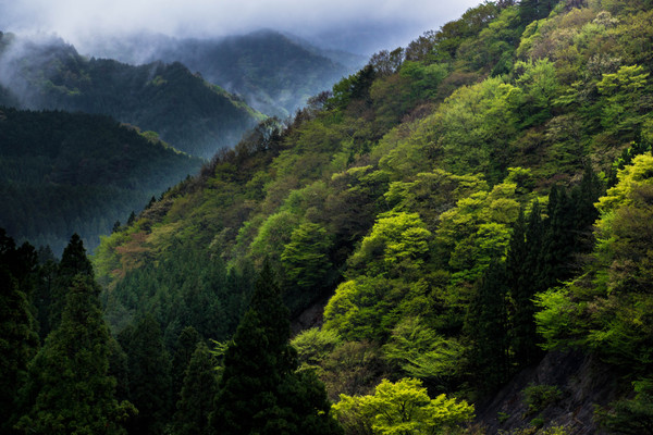 雨の奥山道を往く_e0304485_2325636.jpg