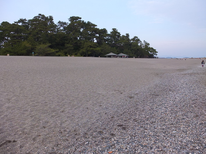 高知の居酒屋への旅　③_c0046587_23284562.jpg