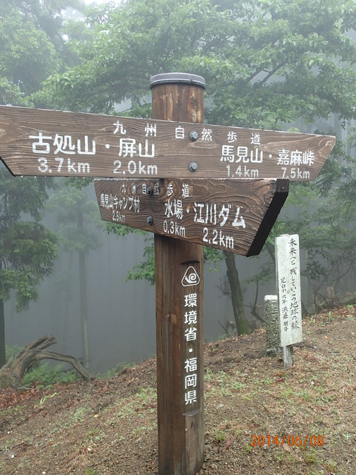 d0326888_1657155.jpg