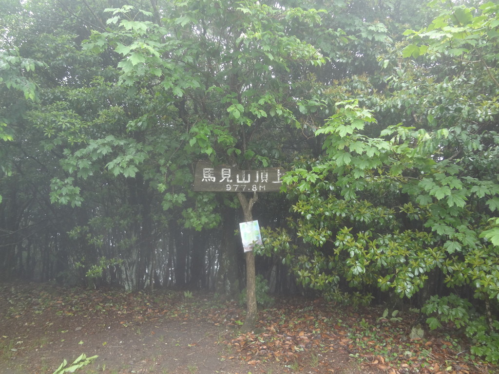d0326888_18183848.jpg