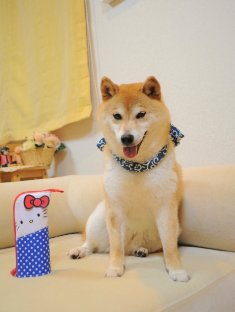 てぬぐいの巻き方 How to tie a Tenugui._a0126590_23325484.jpg