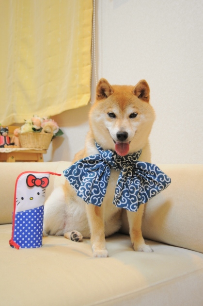 てぬぐいの巻き方 How to tie a Tenugui._a0126590_23331029.jpg