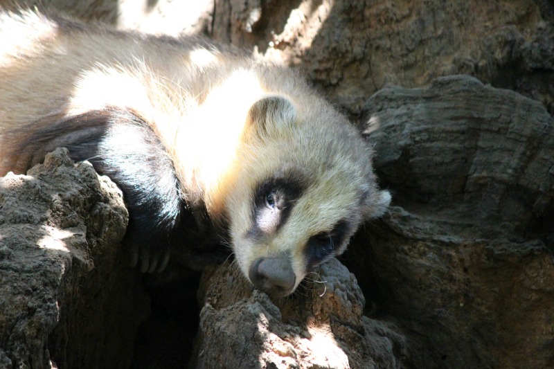 a0127090_2303255.jpg