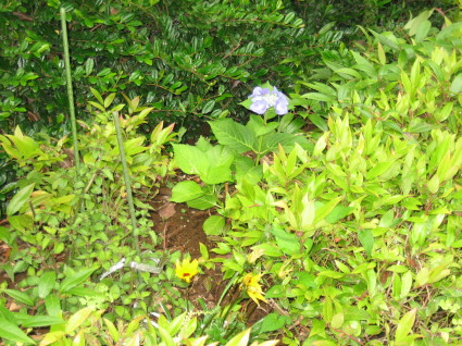 b0014392_18473855.jpg