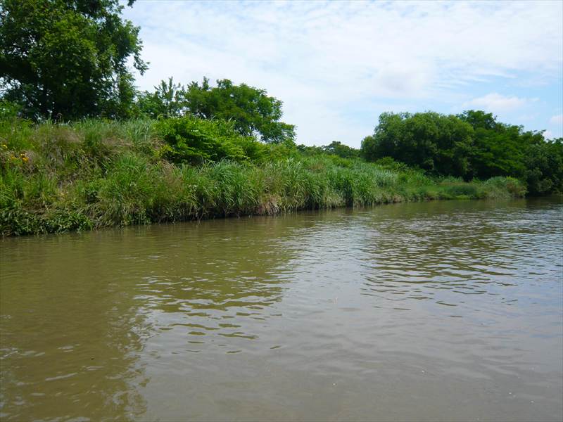 c0024502_23322450.jpg