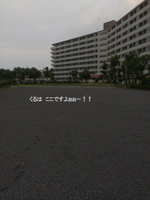 a0134004_23521940.jpg